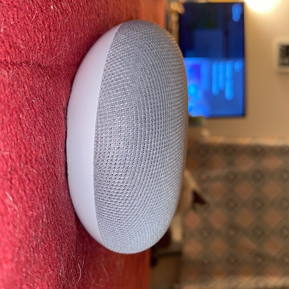 google home